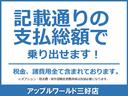 掲載通りの支払金額で乗り出し可能です。※オプション・陸送費用・県外登録費用は別途必要になります。