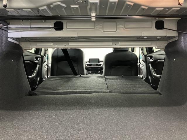 �g�����N�X���[�t���ł��B�傫�ȉו��������Ă���Ȕw�ʂ�O�ɓ|���΂��؁[�����L����܂��B