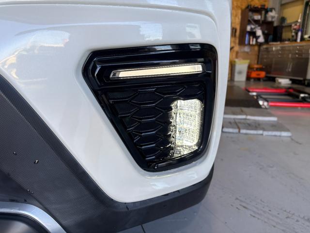 �k�d�c�C���~�l�[�V���������I