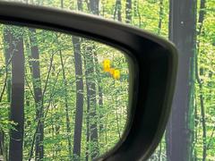 ڥ֥饤ɥݥåȥ˥󥰡桢ɥߥ顼λѤˤʤ䤹ս˸³֤᤹ܶȥɥߥ顼ն˷ٹɽɥ饤Сմ򤷤Ƥޤ 7