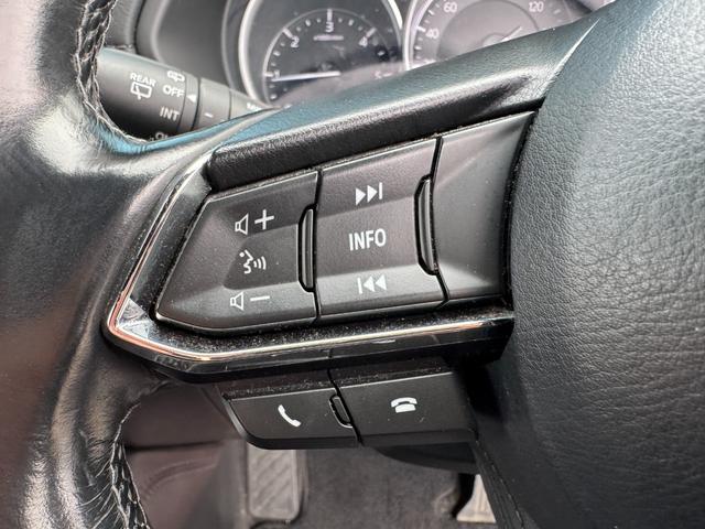 �y�X�e�A�����O�X�C�b�`�z�@�n���h�������𗣂����ƂȂ��A�l�X�Ȑݒ葀����s���܂��B