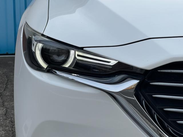 �y�E�w�b�h���C�g�z�@�_���[�W���Ȃ��A�ǍD�ȏ�Ԃ�ۂ��Ă���܂��B