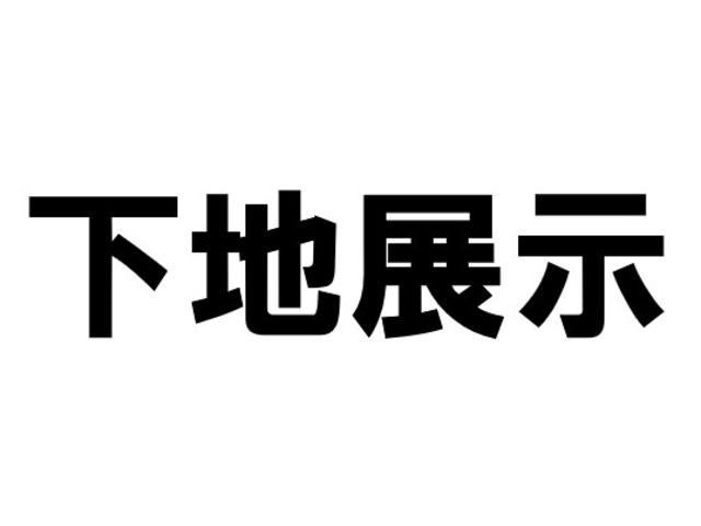 スイフト ＲＳ　３型　全方位カメラ装着車（60枚目）