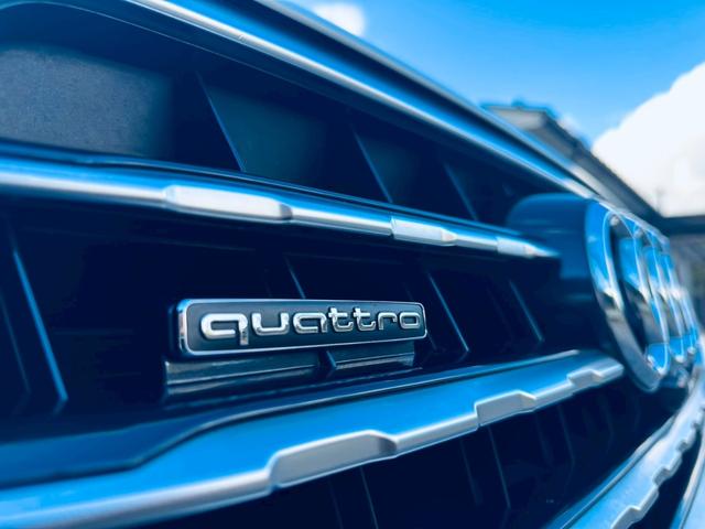 Q7 3.0TFSIクワトロ SラインPKG/アダプティブエアサス/前後シートヒーター/三列目シート/メモリー機能付きパワーシート/4ゾーンエアコン/マトリクスLED/21インチOPAW/ACC/黒革/トラフィックカメラ(63枚目)