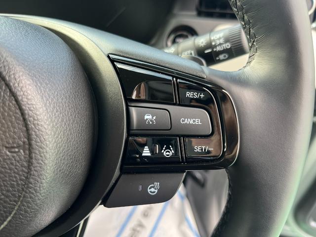 ヴェゼル ｅ：ＨＥＶＺ・ＰＬａＹパッケージ　４ＷＤ　ホンダセンシング　純正コネクトディスプレーナビ　フルセグＴＶ　ブルートゥース　ＵＳＢ　マルチカメラ　ＥＴＣ２．０　パワーテールゲート　ＬＥＤヘッドライト　ガラスルーフ　当店試乗車アップ車両（48枚目）