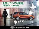 １１０Ｓ　Ｄ３００　認定中古車　純正２０インチＡＷ　全周囲カメラ　アクティブクルーズ　ＭＥＲＩＤＩＡＮ　エアサスペンション　ヘッドアップディスプレイ　サンルーフ　シートヒーター　アップルカープレイ／アンドロイドオート（78枚目）