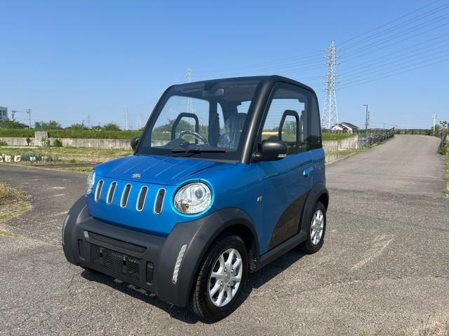 *その他 　ｅ－Ａｐｐｌｅ　リチウムイオンＢＴ仕様　ライトブルーＭ　　ｅ－５６０　ｅ５６０　パドック　リブサル　ＥＶミニカー　ＥＶ　ＬａＬａ　タケオカ　タケオカ自動車工芸　ＮＥＴ－５６０　コムス（5枚目）