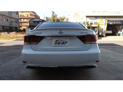 ̣ ̣ӣƥݡġ磻ɥʥӡࡼ롼աѥɥ륷ե 0209142A30251116W001 5