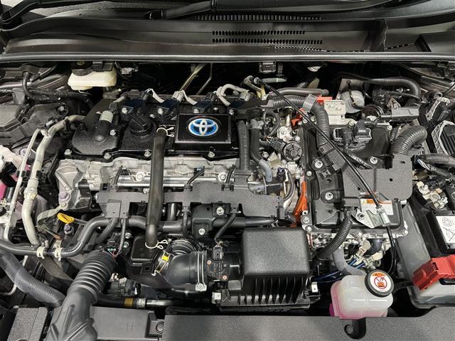 スチームがけでエンジンルームの汚れも綺麗にクリーニング！