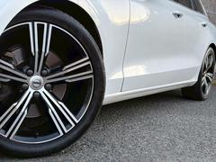 �����ϥۥ磻�ȥ쥶���Ȥʤ�ޤ��������ȥҡ������٥���졼���������� 5