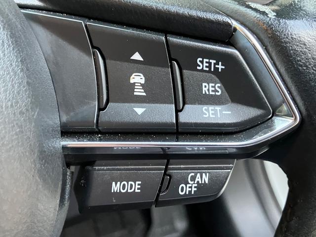 設定した速度での定速・追従走行できるクルーズコントロールシステム。長距離のお出かけや渋滞時の運転に役立ちます