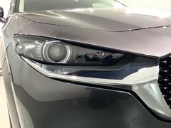 ̣ţĥإåɥ饤Ȥϡνִ֤̤ȯŤʤȥͥʤɤǤΰ괶ޤ 6