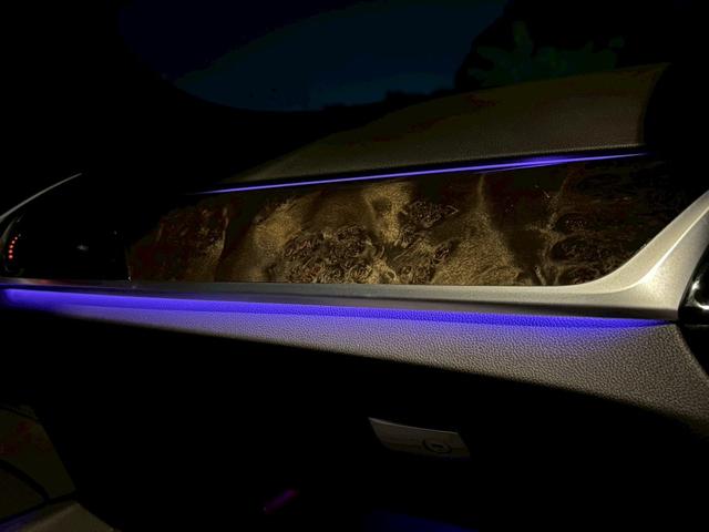 ５シリーズ ５２３ｄ　Ｍスポーツ　禁煙車　オプション２０インチアルミ　アクティブクルーズコントロール　アラウンドビューモニター　フルセグＴＶ　メーカー純正ナビ　Ｂｌｕｅｔｏｏｔｈ　パワートランク　パワーシート　スマートキー　ＥＴＣ（69枚目）