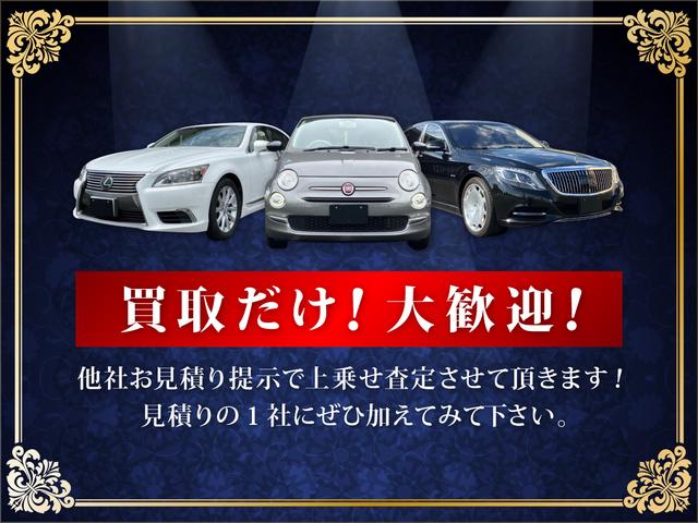 スポーツバック３０ＴＦＳＩ　シグネチャーエディション　クルコン　ＥＴＣ　バックカメラ(28枚目)