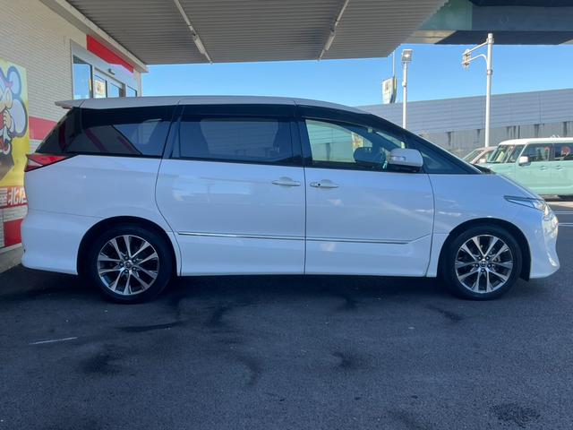 ���[�h�X�^�[�E�A�N�A�E�R�y���E�G�u���B�E�X�e�b�v���S���E�r�U�U�O�E�Z���i�E�n�X���[���l�C�Ԏ�����X���ג��B