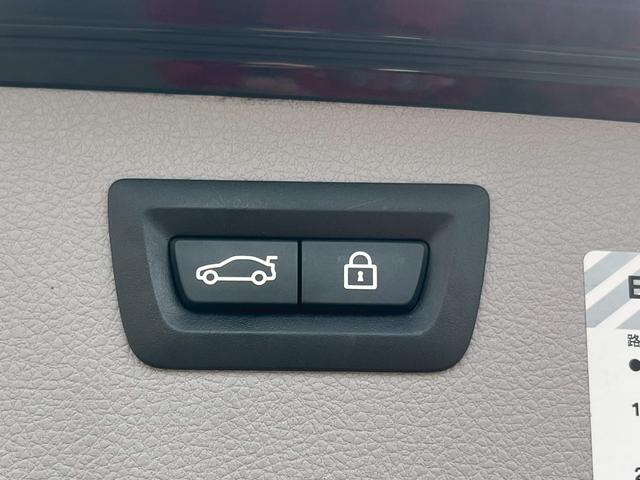 3シリーズ 320dブルーパフォーマンス ツーリング 純正ナビ CD DVD Bluetooth ETC 車線逸脱防止警報 レーンキープアシスト パワーバックゲート バックカメラ クルコン 純正16インチアルミ ターボ 踏み間違い防止機能(30枚目)