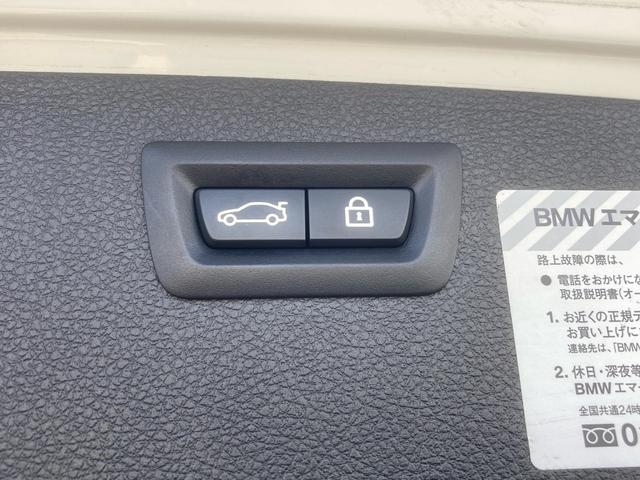 ３シリーズ ３２０ｉツーリング　Ｍスポーツ　ファストトラックパッケージ　１９インチアルミホイール　禁煙車　ナビ　ＣＤ　ＤＶＤ再生　ＥＴＣ　バックカメラ　クルーズコントロール　スペアキー　グー鑑定　パワーバックドア　当店買取車（22枚目）