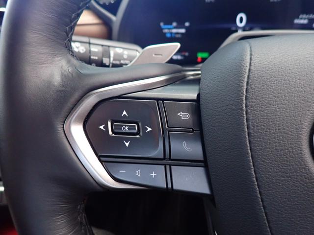 ＬＢＸ リラックス　パノラミックビューモニター・電動ゲート・レクサスセーフティＳ・障害物センサー・本革・ＢＳＭ・電動シート・シートヒーター・ＬＥＤヘッドライト・純正１８ＡＷ・９．８型純正ＤＡ・ＴＶ・ＥＴＣ２．０・ドラレコ（31枚目）