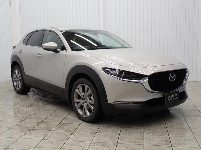 ＣＸ－３０ ＸＤ　ツーリング　衝突軽減Ｂ・障害物センサー・ＢＳＭ・ＨＵＤ・全方位カメラ・パワーゲート・電動シート・シートヒーター・ワイヤレス充電・デジタルミラー・ＬＥＤライト・純正ＡＷ・ＴＶ・Ｂｌｕｅｔｏｏｔｈ・ＥＴＣ・ドラレコ（9枚目）