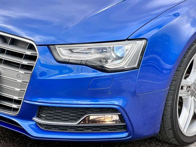 �����F�����z���ɋ߂��u���v�łƂĂ����邢�A�g�h�c�w�b�h���C�g���̗p�B��Ԃł����K�ȃh���C�u�����y���݂��������܂���B