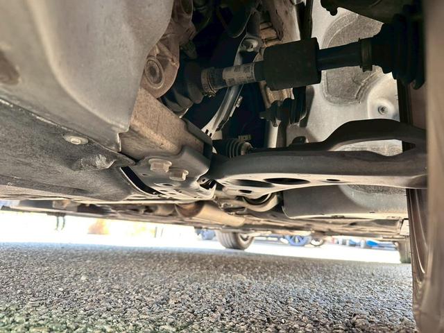 �����̓T�r�����Ȃ��A�����Y��ȏ�Ԃł���