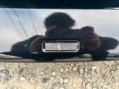 ڥǥꥹۥ˥åեȡɡꥢ夷Ƥޤ 5