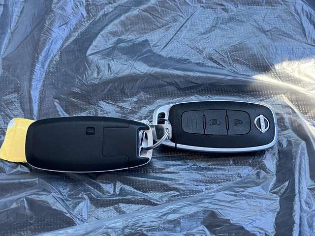 デイズ ６６０　ハイウェイスターＸ　雹害車　アラウンドビューモニター　ＬＥＤヘ（15枚目）
