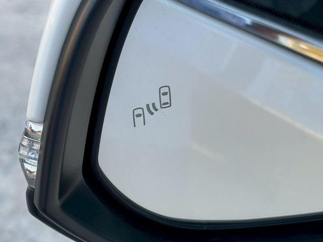 アルファード ２．５Ｓ　Ｃパッケージ　ユーザー買取　禁煙１オーナー　サンルーフ　純正ナビ　フリップダウン　ブラインドスポットモニター　フルセグ　ＤＶＤ再生　Ｂｌｕｅｔｏｏｔｈ　デジタルインナーミラー　黒革シート　レーダークルーズ　両側電動（53枚目）