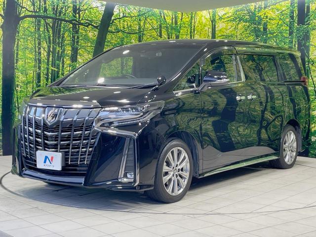 アルファード ２．５Ｓ　タイプゴールドＩＩ　両側電動スライドドア　後席モニター　９型ディスプレイオーディオ　バックカメラ　レーダークルーズ　禁煙車　電動リアゲート　ドラレコ　コーナーセンサー　スマートキー　ＬＥＤヘッド　ＥＴＣ（25枚目）