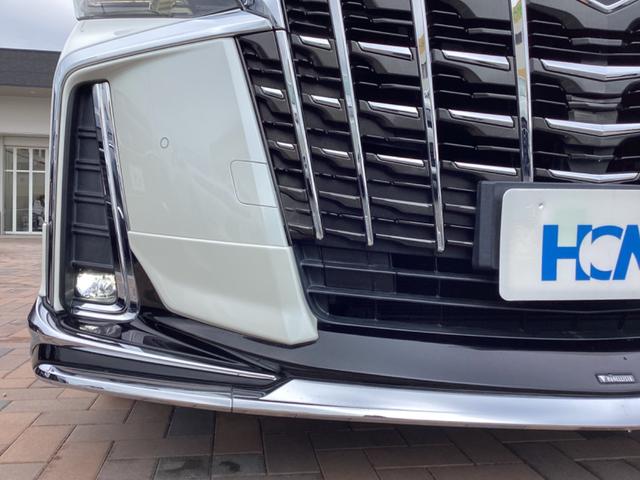 �k�d�c�t�H�O���C�g�t���ł��I�I�w�b�h���C�g�ł͌��̂�����ɂ����������₳�����Ƃ炵�܂��B����J�̎��ɂ́A���ɏd�󂵂܂���B