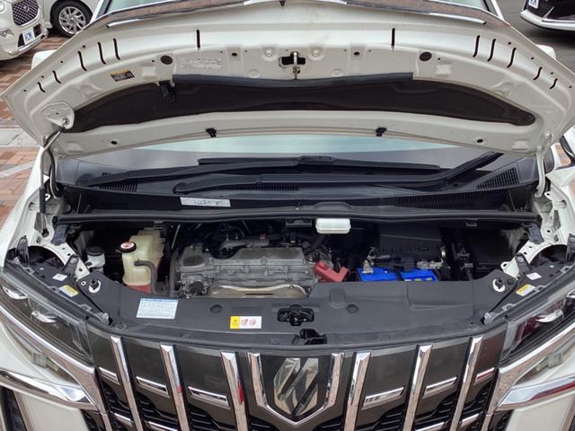 �G���W�����[�������ꂢ�ɐ��|���Ă���܂��B