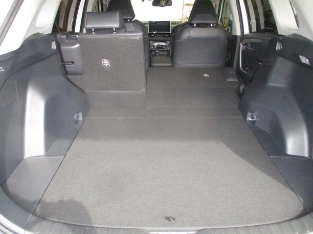 RAV4 ハイブリッドG フルセグTV付きSDナビバックモニター CDDVD再生 Bluetooth ETC トヨタセーフティーセンス ICS スマートキー(スペアキー付) LEDヘッドライト ドライブレコーダー 4WD HV(41枚目)