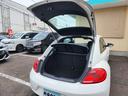 VOLKSWAGEN THE BEETLE