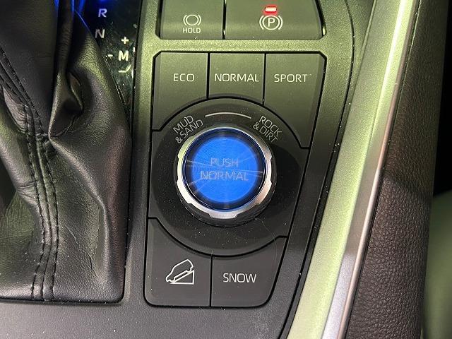 ＲＡＶ４ Ｇ　“Ｚ　ｐａｃｋａｇｅ”　禁煙　４ＷＤ　純正９型ＳＤナビ　フルセグＴＶ　バックカメラ　ＥＴＣ　レザーシート　シートヒーター　パワーシート　ＢＳＭ　衝突軽減ブレーキ　追従クルーズコントロール（40枚目）