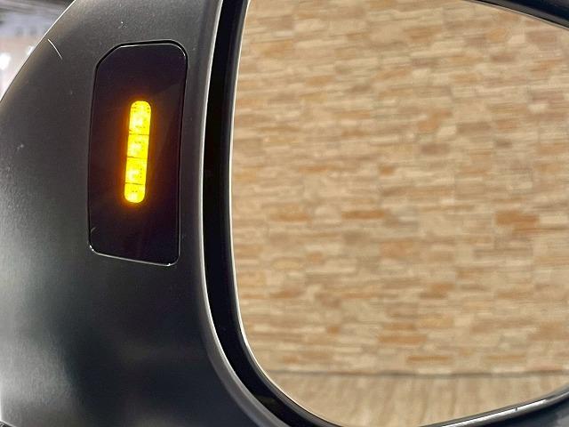 ＸＶ ２．０ｉ－Ｓ　ＥｙｅＳｉｇｈｔ　純正ナビ　バックカメラ　フルセグＴＶ　ブラインドスポットモニター　ＥＴＣ　ドライブレコーダ　追従クルーズコントロール　レーンアシスト　ＬＥＤヘッドライト　スマートキープッシュスタート　純正１８アルミ（43枚目）