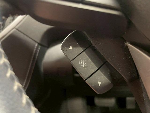フォレスター Ｘ－エディション　４ＷＤ　８型ＤＩＡＴＯＮＥナビ　バックカメラ　サイドカメラ　フロントカメラ　アップルカープレイ　フルセグＴＶ　ＢＳＭ　電動リアゲート　追従クルーズコントロール　ルーフレール　ドラレコ　ＥＴＣ　ＬＥＤ（56枚目）