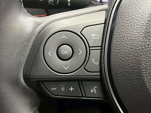 ＲＡＶ４ アドベンチャー　純正ナビＴＶ　全周囲　レザー　ＴＲＤパーツ　デジタルインナーミラー　アダプティブクルーズコントロールシステム　純正ＡＷ　ＢＳＭ　ＥＴＣ　オートハイビーム　アップルカープレイ　サイドエアバック（50枚目）