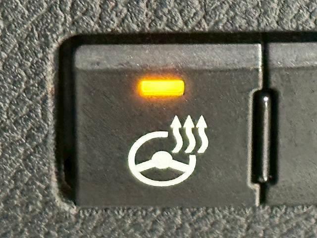 NX NX300h Fスポーツ サンルーフ 全周囲 レーダークルーズコントロール シートヒーター ベンチレーション ステアリングヒーター ブラインドスポットモニター メモリー付きパワーシート ドライブレコーダー付き 電動リアゲート(12枚目)