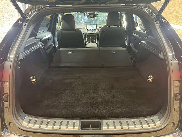 NX NX300 Fスポーツ 純正10.3型ナビTV BSM 追従クルコン バックカメラ ビルトインETC ドラレコ CD・DVD シートヒーター シートベンチレーション メモリー付パワーシート スマートキープッシュスタート(43枚目)