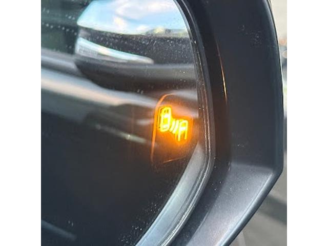 ヴェルファイア ２．５Ｚ　ゴールデンアイズ　メーカーナビ　後席フリップダウンモニター　ブラインドスポットモニター　サンルーフ　スマートキープッシュ　デジタルインナーミラー　ＣＤ、ＤＶＤ　両側電動スライド　レーダークルコン　セーフティセンス（22枚目）