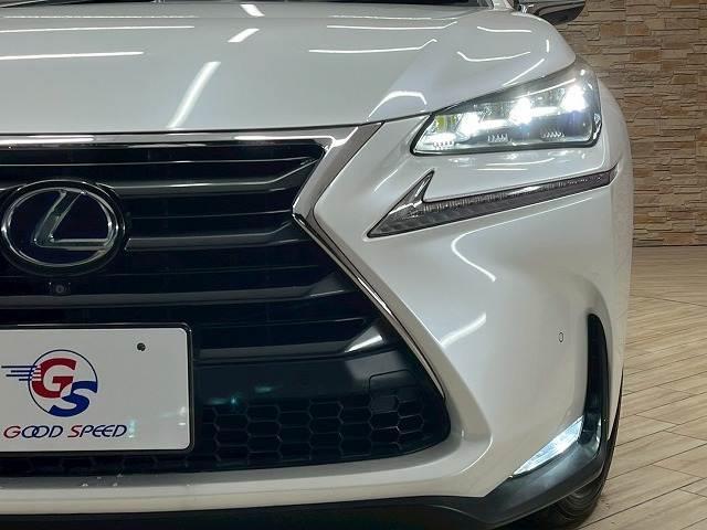 ＮＸ ＮＸ３００ｈ　バージョンＬ　革　ＢＳＭ　メーカーナビ　全周囲モニター　ドライブレコーダー　ＬＥＤヘッドライト　シートヒーター　シートクーラー　電動シート　電動リアゲート　ＥＴＣ　ＢＳＭ　レーンアシスト　追従クルーズコントロール（20枚目）