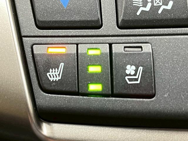 ＮＸ ＮＸ３００ｈ　バージョンＬ　革　ＢＳＭ　メーカーナビ　全周囲モニター　ドライブレコーダー　ＬＥＤヘッドライト　シートヒーター　シートクーラー　電動シート　電動リアゲート　ＥＴＣ　ＢＳＭ　レーンアシスト　追従クルーズコントロール（30枚目）