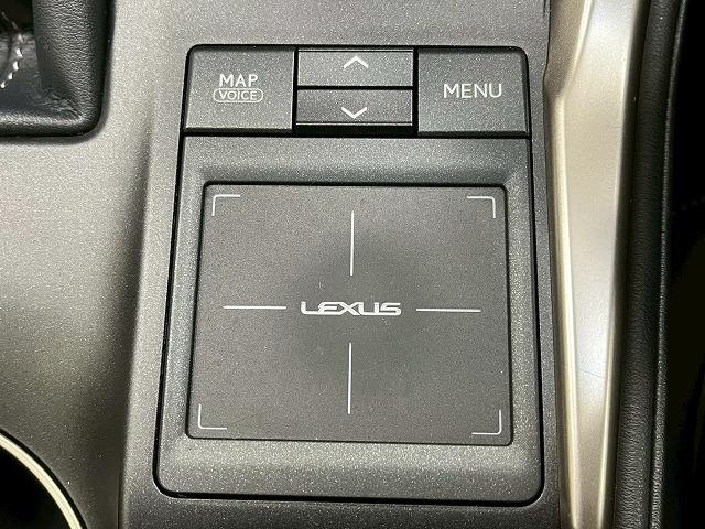 ＮＸ ＮＸ３００ｈ　バージョンＬ　革　ＢＳＭ　メーカーナビ　全周囲モニター　ドライブレコーダー　ＬＥＤヘッドライト　シートヒーター　シートクーラー　電動シート　電動リアゲート　ＥＴＣ　ＢＳＭ　レーンアシスト　追従クルーズコントロール（31枚目）