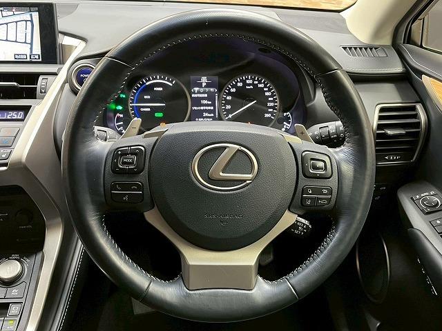 ＮＸ ＮＸ３００ｈ　バージョンＬ　革　ＢＳＭ　メーカーナビ　全周囲モニター　ドライブレコーダー　ＬＥＤヘッドライト　シートヒーター　シートクーラー　電動シート　電動リアゲート　ＥＴＣ　ＢＳＭ　レーンアシスト　追従クルーズコントロール（59枚目）