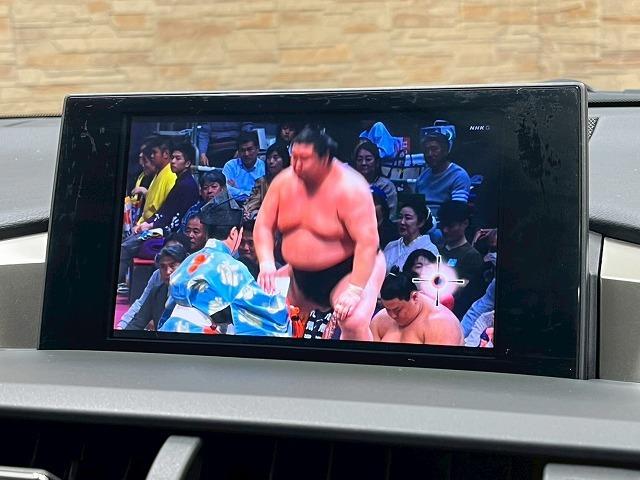 ＮＸ ＮＸ３００ｈ　バージョンＬ　革　ＢＳＭ　メーカーナビ　全周囲モニター　ドライブレコーダー　ＬＥＤヘッドライト　シートヒーター　シートクーラー　電動シート　電動リアゲート　ＥＴＣ　ＢＳＭ　レーンアシスト　追従クルーズコントロール（71枚目）