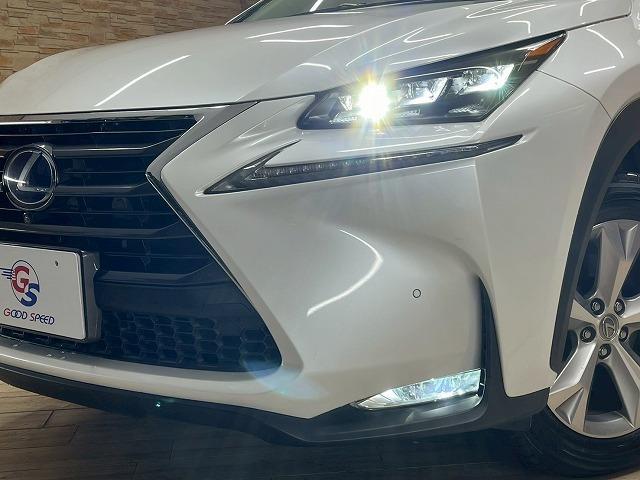 ＮＸ ＮＸ３００ｈ　バージョンＬ　革　ＢＳＭ　メーカーナビ　全周囲モニター　ドライブレコーダー　ＬＥＤヘッドライト　シートヒーター　シートクーラー　電動シート　電動リアゲート　ＥＴＣ　ＢＳＭ　レーンアシスト　追従クルーズコントロール（72枚目）