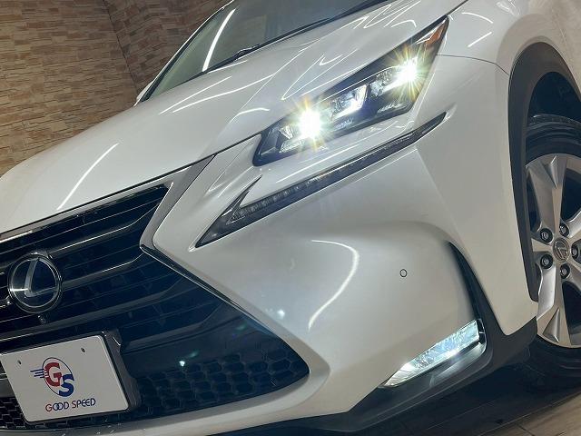 ＮＸ ＮＸ３００ｈ　バージョンＬ　革　ＢＳＭ　メーカーナビ　全周囲モニター　ドライブレコーダー　ＬＥＤヘッドライト　シートヒーター　シートクーラー　電動シート　電動リアゲート　ＥＴＣ　ＢＳＭ　レーンアシスト　追従クルーズコントロール（73枚目）
