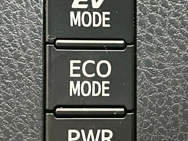 ノア ハイブリッドＳｉ　ダブルバイビーＩＩ　純正１０インチナビＴＶ　後席フリップダウン　スマートキープッシュスタート　クルーズコントロール　シートヒーター　ドライブレコーダー　ビルトインＥＴＣ　両側電動スライド　純正１６インチアルミ　ＬＥＤ（30枚目）