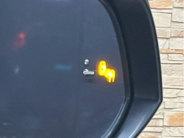 ヴェルファイアハイブリッド ZR 4WD JBLサウンドメーカーナビ 追従クルーズコントロール BSM LED 電動スライドドア シートヒーター シートベンチレーション デジタルインナーミラー オートハイビーム ダブルエアコン(66枚目)