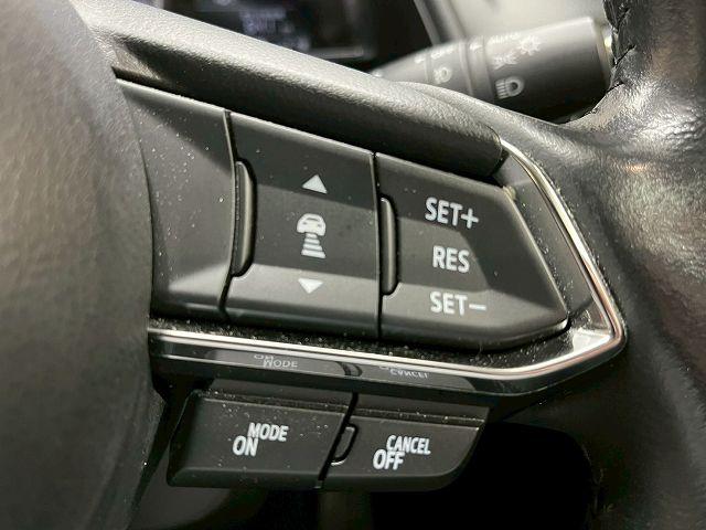 CX-3 XD エクスクルーシブモッズ シートヒーター 追従クルコン BSM ETC ステアリングヒーター ドラレコ 社外19インチアルミ レザーシート 純正ナビ コーナーセンサー シートメモリー レーンキープ オートエアコン(49枚目)